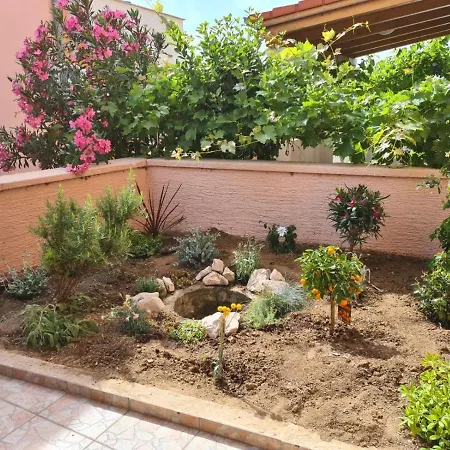 Kitty Apartment