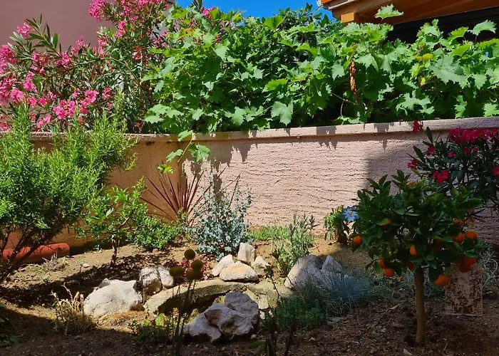 Kitty Апартаменты *